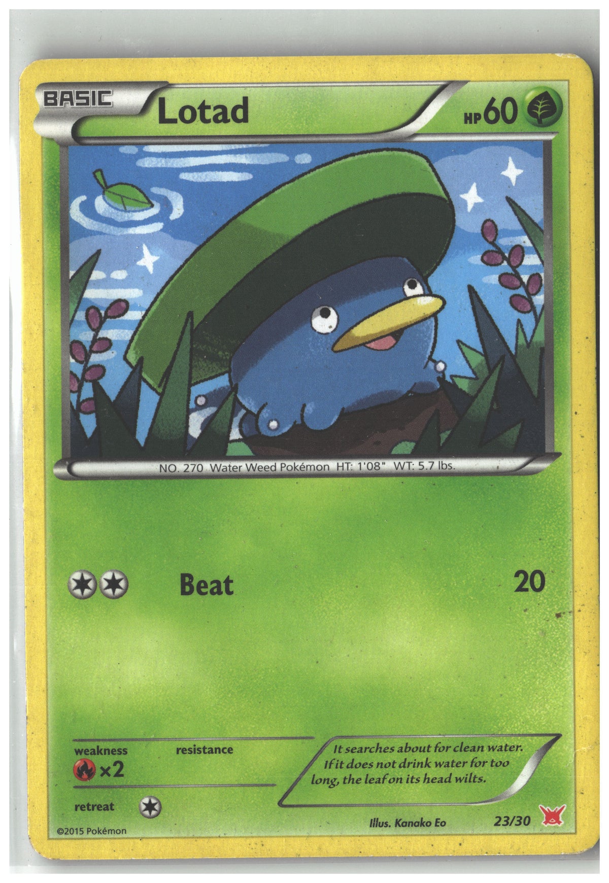 Lotad (#23)