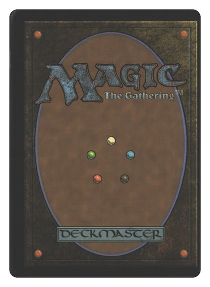 Kindle (Back)