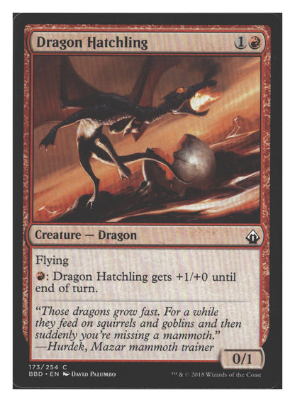 Dragon Hatchling