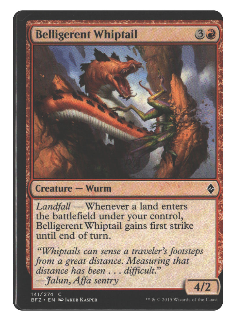 Belligerent Whiptail