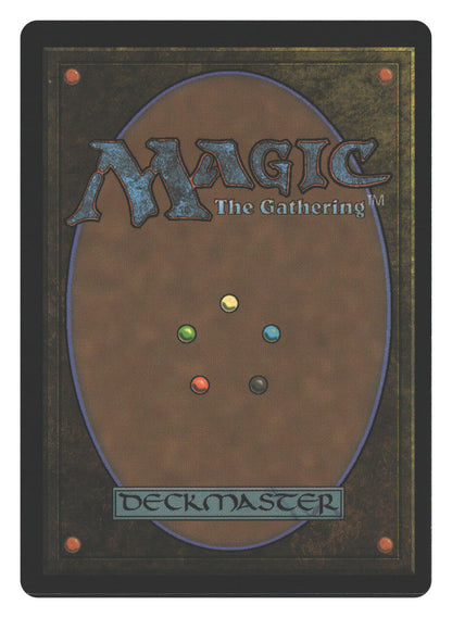 Wall of Runes (Back)