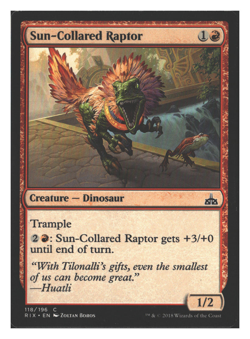 Sun-Collared Raptor