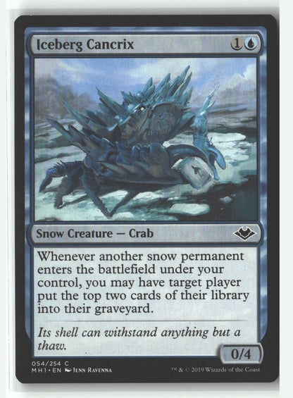 Iceberg Cancrix