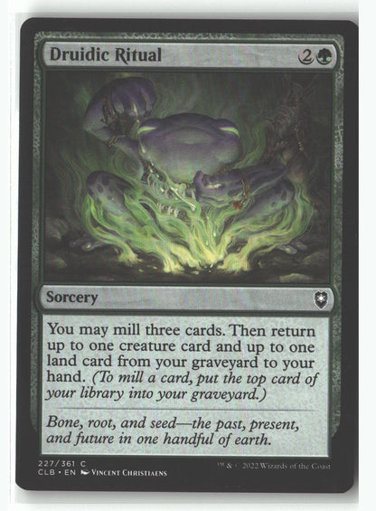 Druidic Ritual