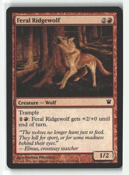 Feral Ridgewolf