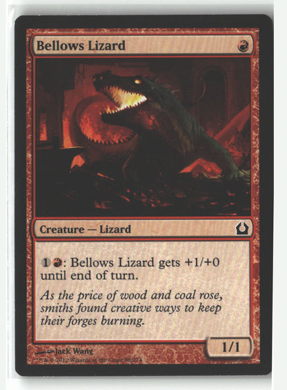 Bellows Lizard