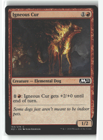 Igneous Cur