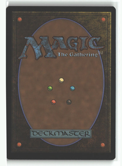 Immersturm Raider (Back)