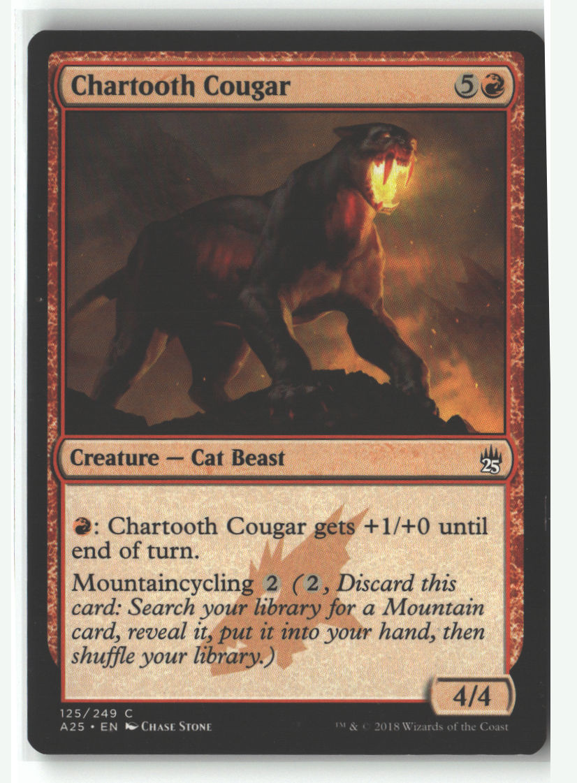 Chartooth Cougar
