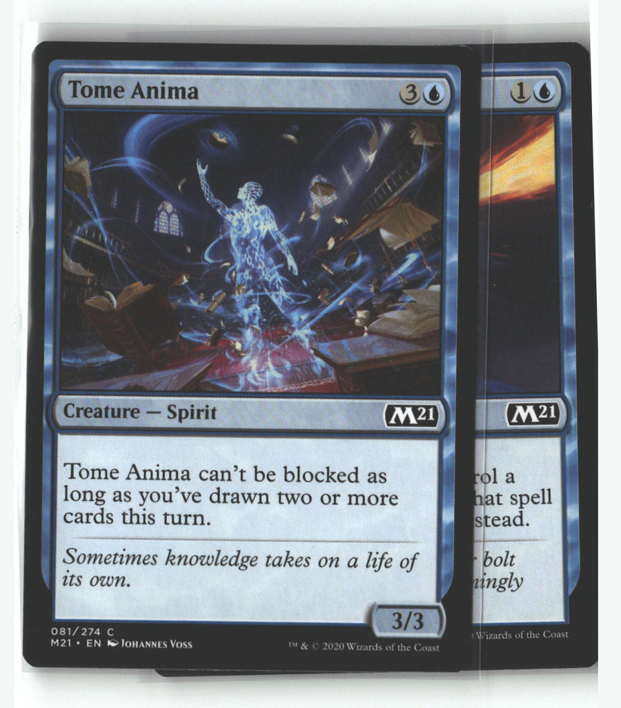 Tome Anima | Lightly Played / English / Normal