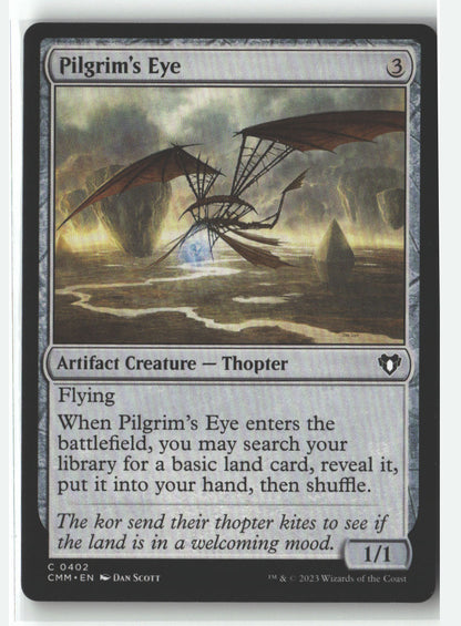 Pilgrim's Eye