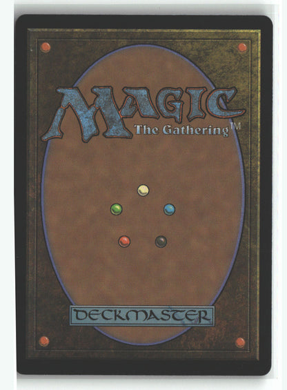 Crimson Fleet Commodore (Back)