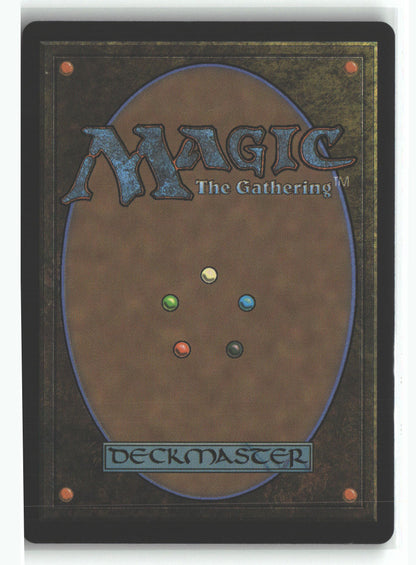 Stuck in Summoner's Sanctum (Back)