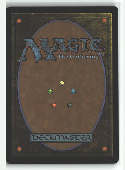 Divination (Back) | Lightly Played / English / Normal