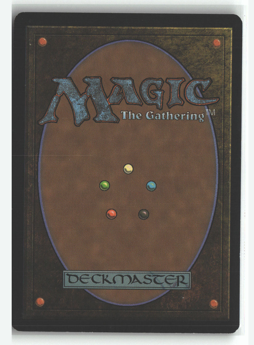 Wind Zendikon (Back)
