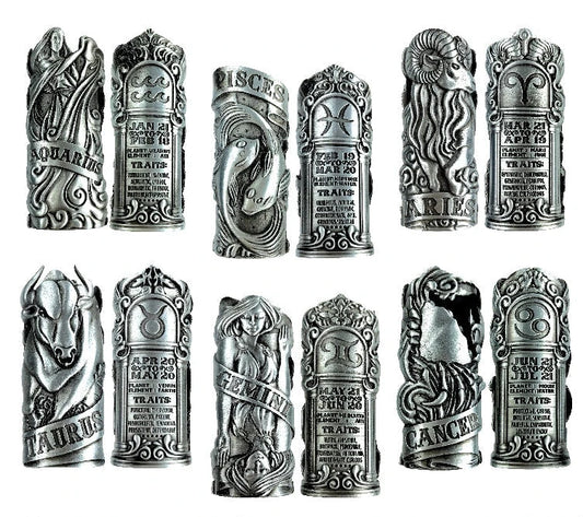 Zodiac Lighter Case